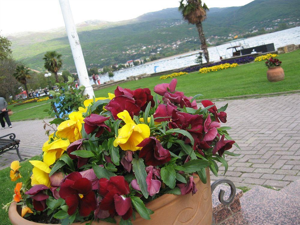 Vila Kosta City Center Port Ohrid Exterior foto