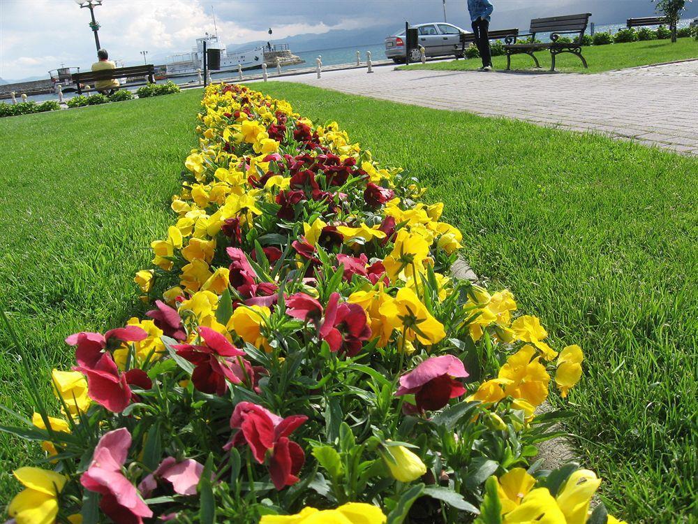 Vila Kosta City Center Port Ohrid Exterior foto